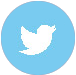 Twitter Circular Logo